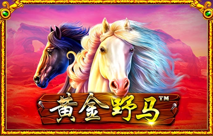雷火剑官方网站入口
